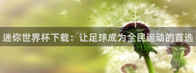 2026世界杯官网入口:迷你世界杯下载:让足球成为全民运动的首选