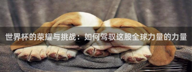 2026足球世界杯赛程:世界杯的荣耀与挑战:如何驾驭这股全球力量的力量