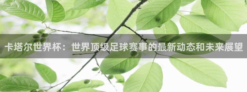 亚洲区世界杯预选赛:卡塔尔世界杯:世界顶级足球赛事的最新动态和未来展望