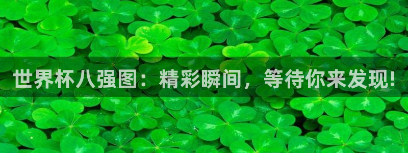 世界杯官网入口:世界杯八强图:精彩瞬间,等待你来发现!