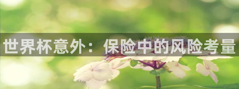 2026世界杯欧洲预选赛赛程表:世界杯意外:保险中的风险考量