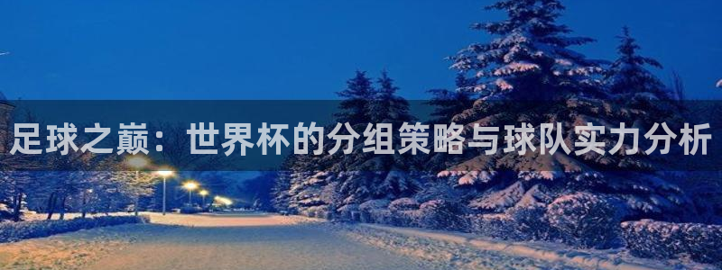 美洲杯直播:足球之巅:世界杯的分组策略与球队实力分析